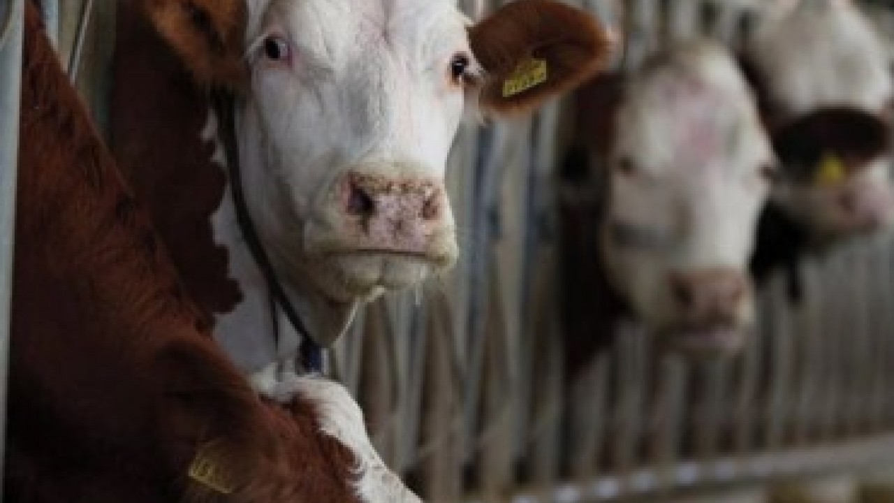 Foto - Bakanlık duyurdu: 24 ilde yeniden açıldı!