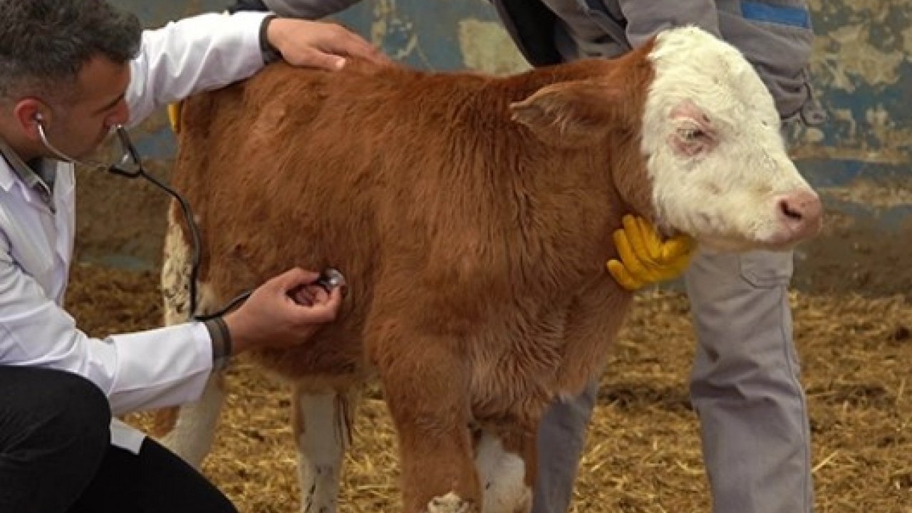 Foto - Bakanlık duyurdu: 24 ilde yeniden açıldı!