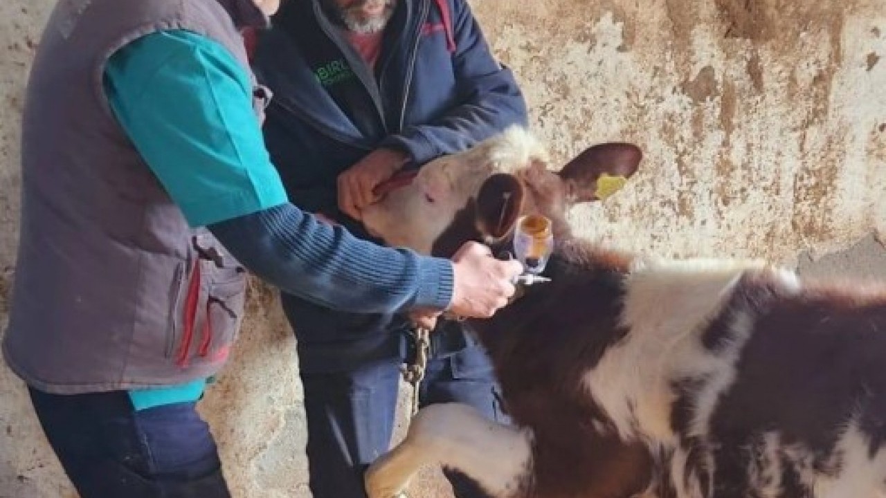 Foto - Bakanlık duyurdu: 24 ilde yeniden açıldı!