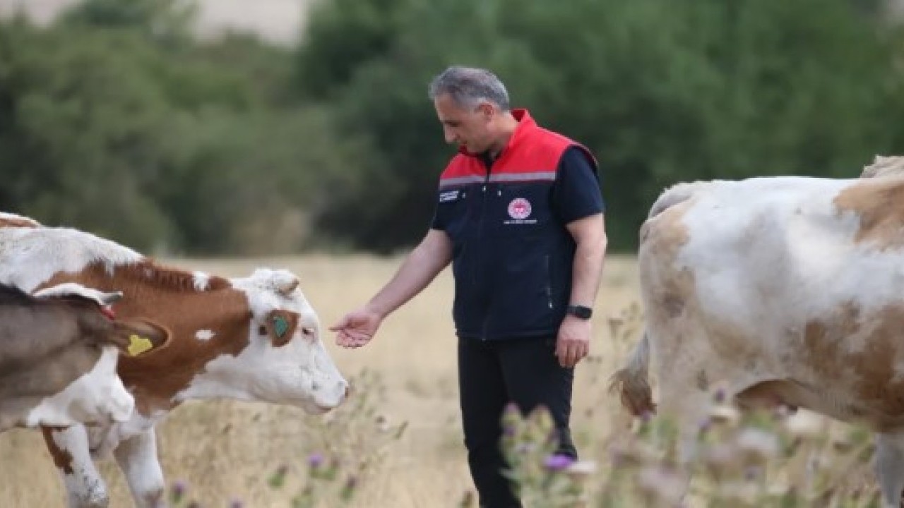 Foto - Bakanlık duyurdu: 24 ilde yeniden açıldı!
