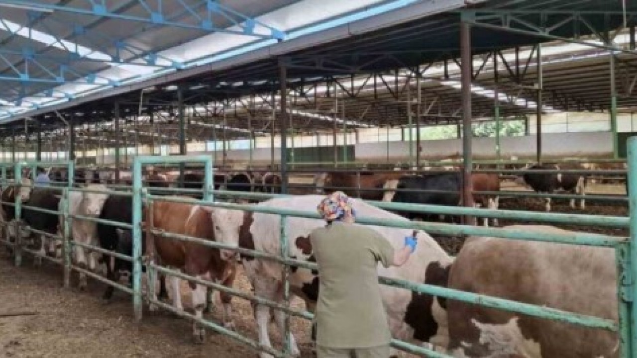 Bakanlık duyurdu: 24 ilde yeniden açıldı!