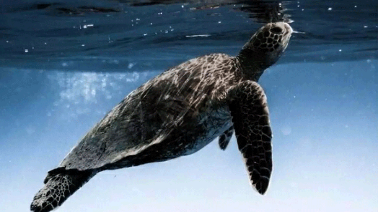 Foto - Bakanlık duyurdu: Artık müzik çalmak yasak!