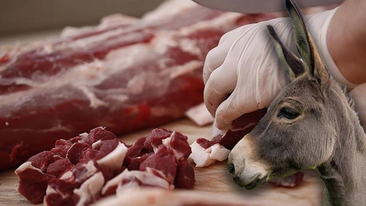 Foto - Bakanlık, firmaları ifşa etti! İşte vatandaşa at ve eşek etinin yedirildiği iki ilimiz