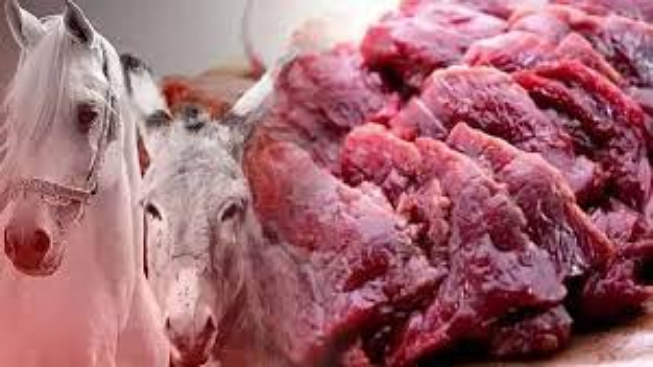 Bakanlık, firmaları ifşa etti! İşte vatandaşa at ve eşek etinin yedirildiği iki ilimiz
