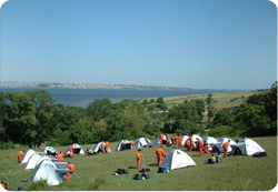 Foto - Bakanlık harekete geçti! Tamamen ücretsiz! Başvurular e-Devlet üzerinden alınıyor