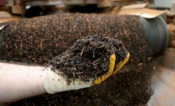 Foto - Bakanlık ifşa etti! Gıda boyası kullanan 11 çay markası belli oldu