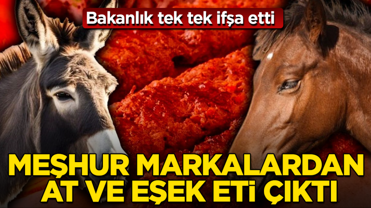 Bakanlık tek tek ifşa etti: Meşhur markalardan at ve eşek eti çıktı