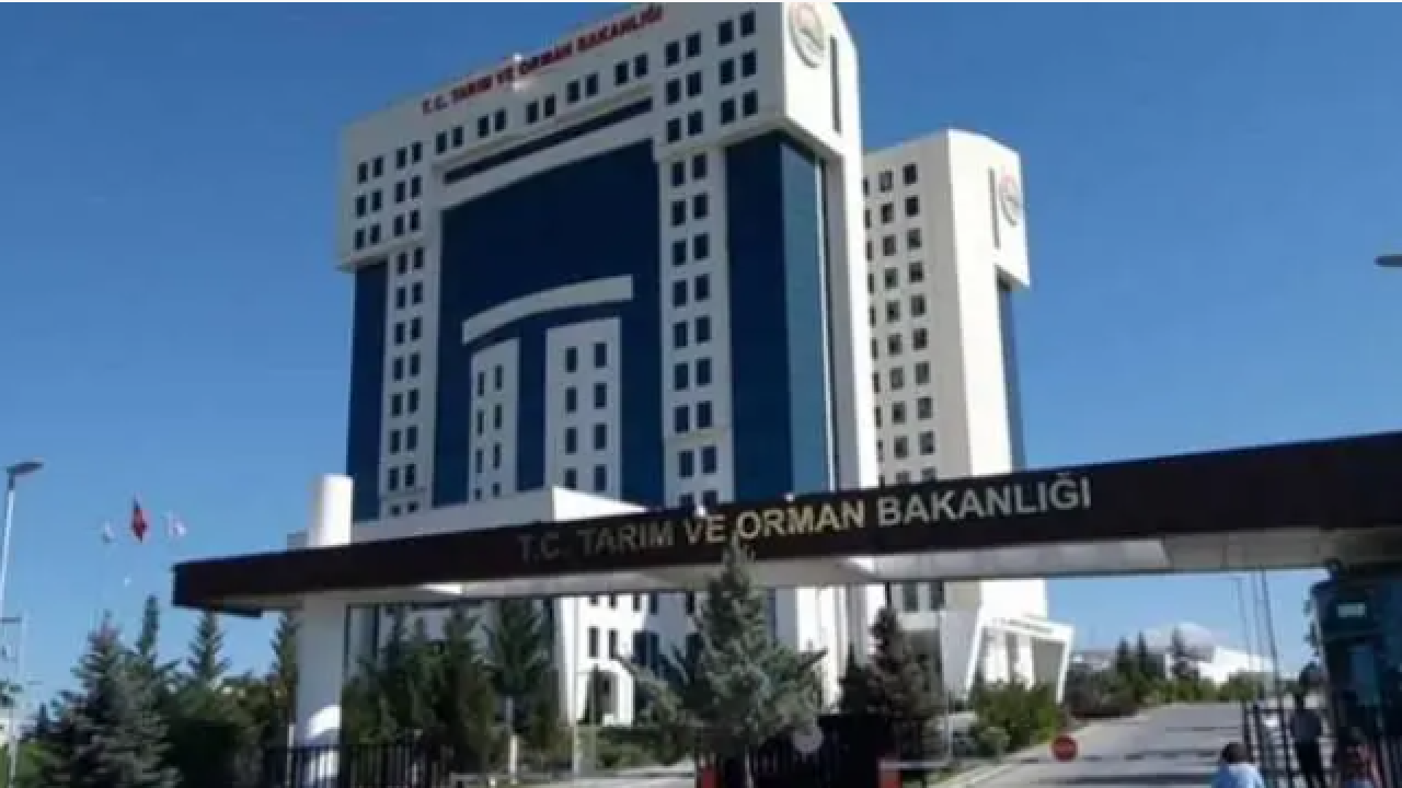 Bakanlık tek tek sıraladı: Kuruyemiş devinde kanserojen madde şoku! 