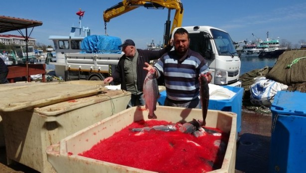 Foto - Bakanlık üretimi için harekete geçmişti... Salgın sonrası talep patlaması!