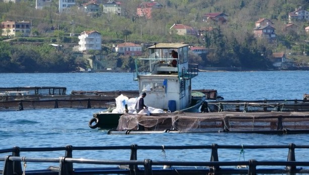 Foto - Bakanlık üretimi için harekete geçmişti... Salgın sonrası talep patlaması!