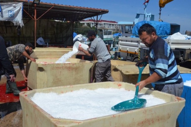 Foto - Bakanlık üretimi için harekete geçmişti... Salgın sonrası talep patlaması!