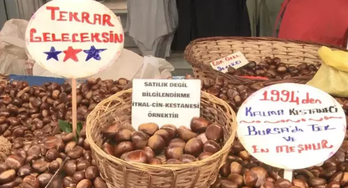 Foto - Bakanlıktan kestane için ortaya çıkan Türkiye hamlesi! Resmen değişti diyerek duyurdu: Artık zorunlu olacak