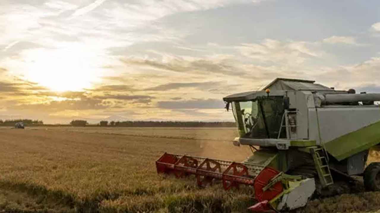 Bakanlıktan tarım devine yasak: Ürünler piyasadan acil olarak toplatılacak