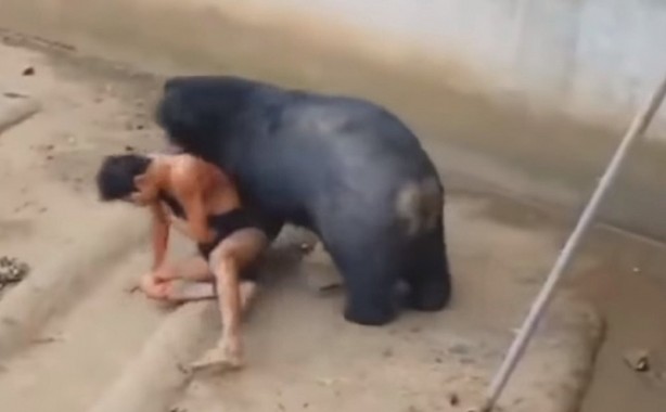 Foto - Bakıcısını canlı canlı yine ayı kameralara böyle yansıdı