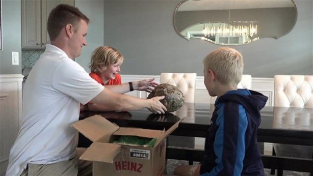 Foto - Bakın arı kovanının içinden ne çıktı?