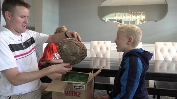 Foto - Bakın arı kovanının içinden ne çıktı?