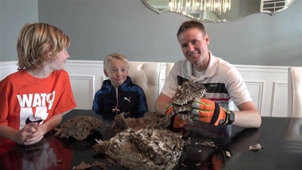 Foto - Bakın arı kovanının içinden ne çıktı?