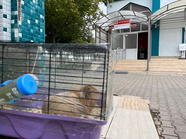 Foto - Bakın artık camilere ne bırakıyorlar!