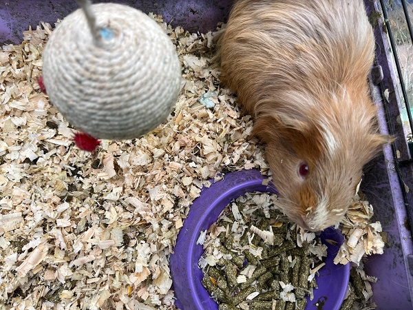 Foto - Bakın artık camilere ne bırakıyorlar!