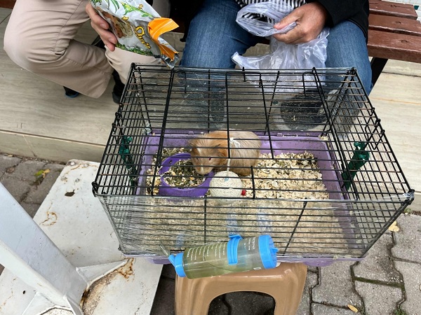 Foto - Bakın artık camilere ne bırakıyorlar!