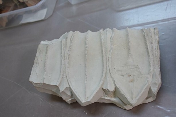 Bakın bu kez ne bulundu... 41 yıldır süren kazı