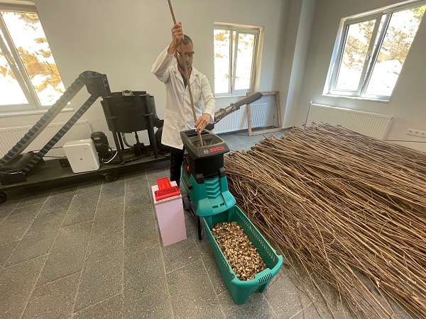 Foto - Bakın bu mantar nasıl yetiştirildi!