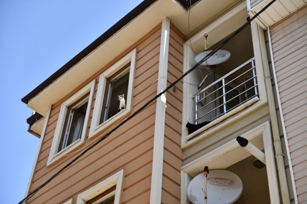 Bakın bu sefer içeriden ne çıktı! Bir çöp ev vakası daha