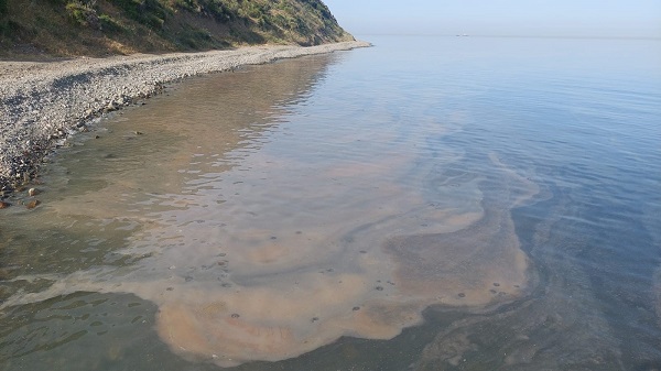 Foto - Bakın denizin rengi niye turuncuya döndü! 
