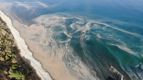 Foto - Bakın denizin rengi niye turuncuya döndü! 