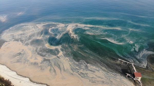 Foto - Bakın denizin rengi niye turuncuya döndü! 