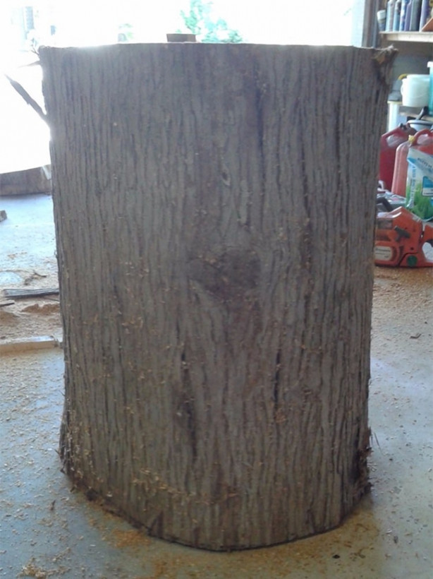 Bakın dev kütükle ne yaptı!