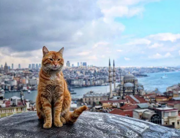 Foto - Bakın dünya Türkiye’yi nasıl tanıyor! Tek tek sıraladılar
