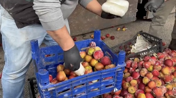Foto - Bakın elma kasalarının içine ne gizlemişler! 