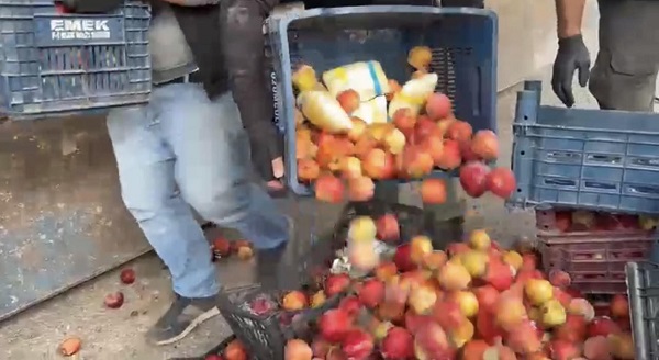Foto - Bakın elma kasalarının içine ne gizlemişler! 