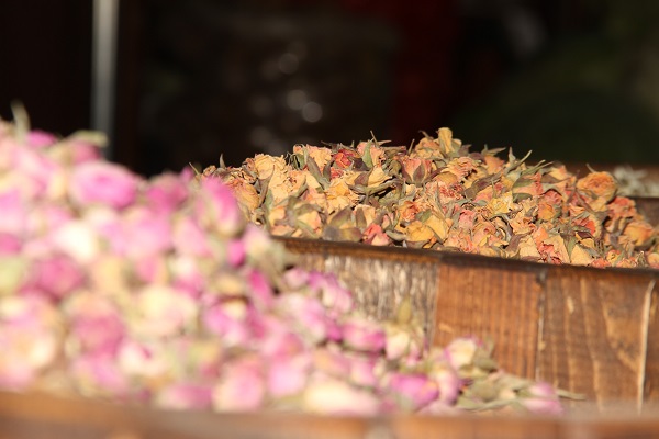 Foto - Bakın en çok hangi çay tercih ediliyor