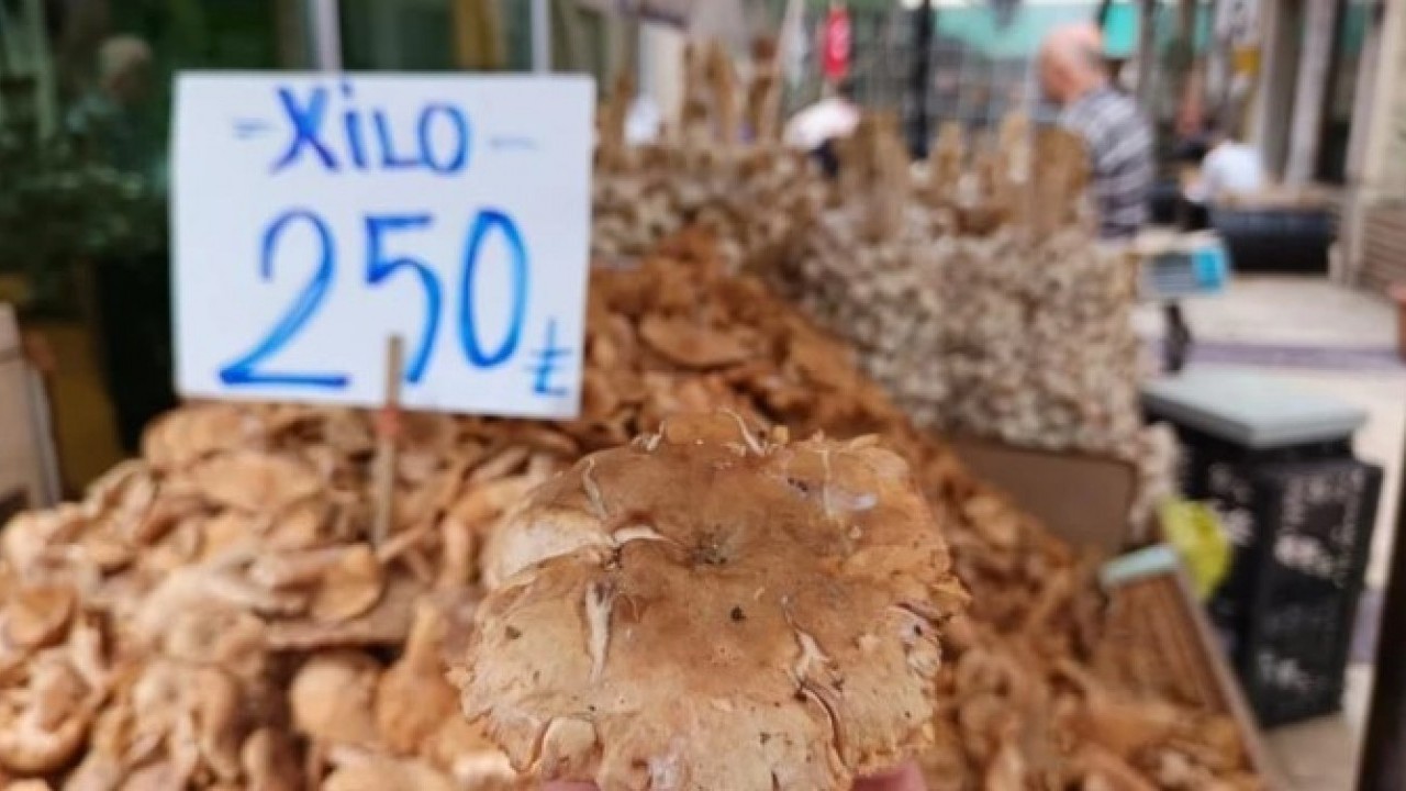 Bakın fiyatı ne kadar! O mantar türü sofraların vazgeçilmezi oldu