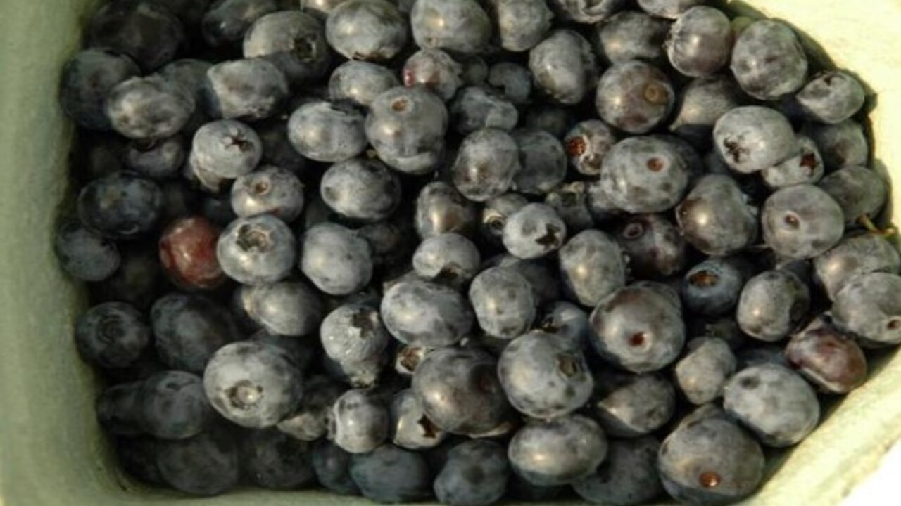 Bakın hangi hastalıklara şifa oluyor! Bu besinin faydaları saymakla bitmiyor