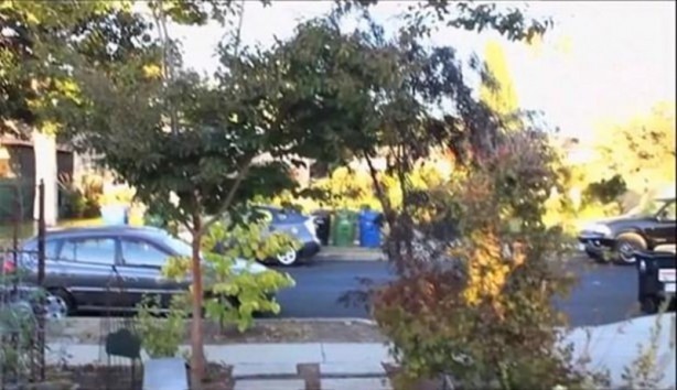 Foto - Bakın hayvanlar nasıl görüyor...