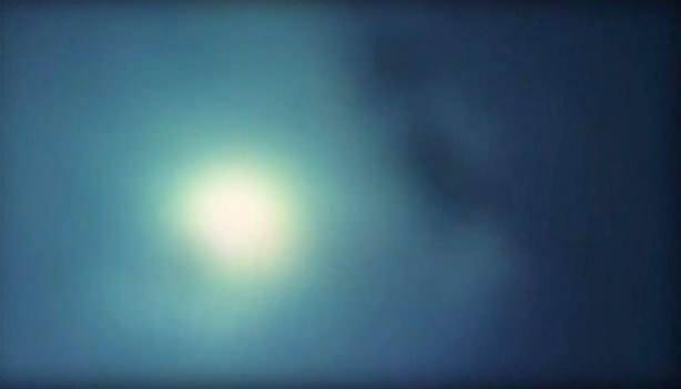 Bakın hayvanlar nasıl görüyor...