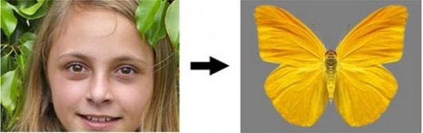 Foto - Bakın hayvanlar nasıl görüyor...