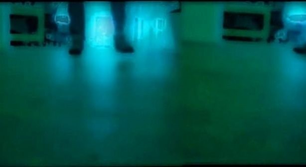 Foto - Bakın hayvanlar nasıl görüyor...