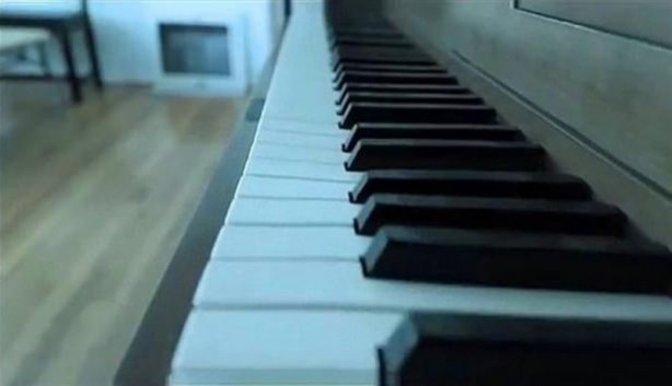 Foto - Bakın hayvanlar nasıl görüyor...