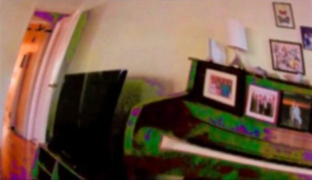 Foto - Bakın hayvanlar nasıl görüyor...