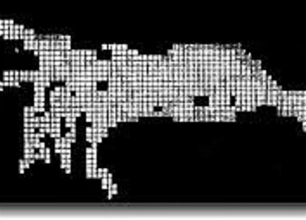 Foto - Bakın hayvanlar nasıl görüyor...