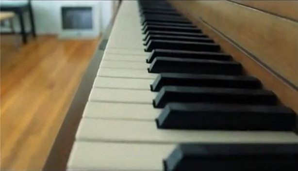 Foto - Bakın hayvanlar nasıl görüyor...