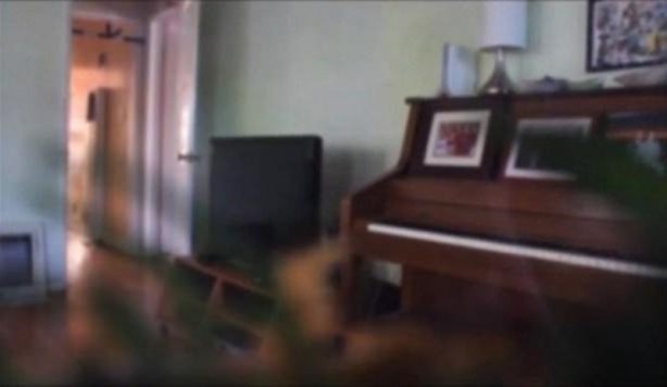 Foto - Bakın hayvanlar nasıl görüyor...