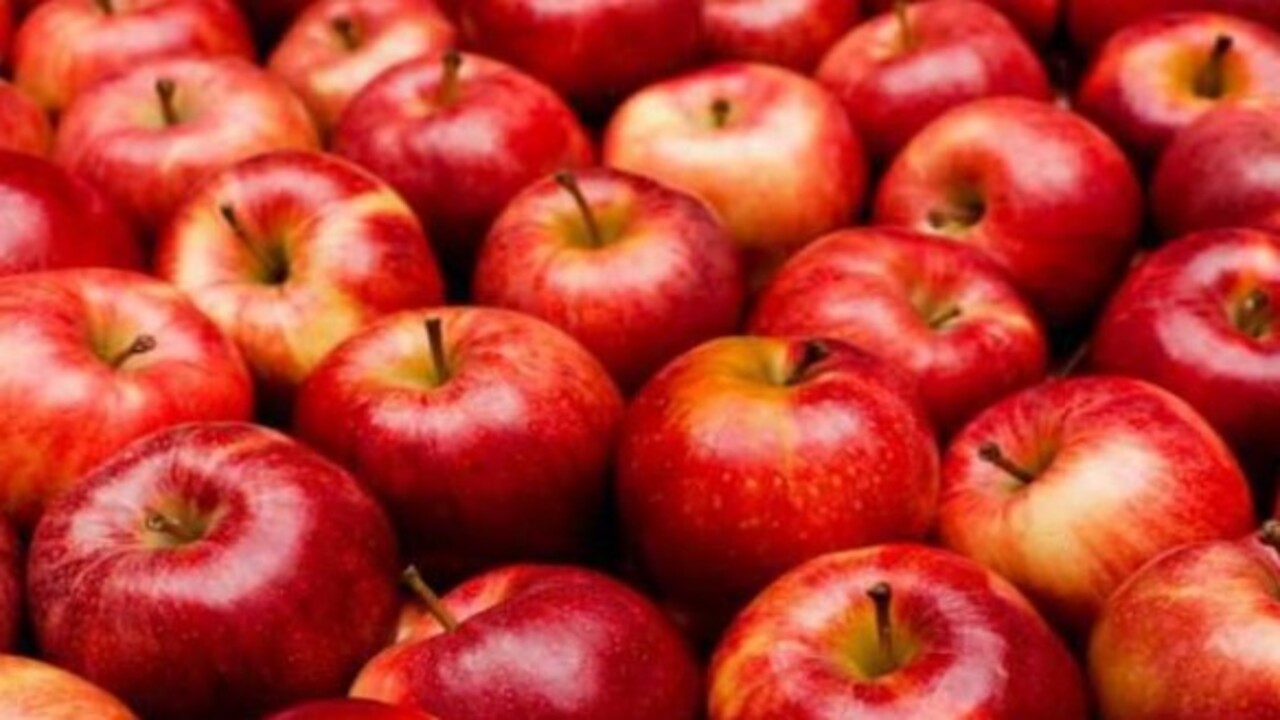 Foto - Bakın ilk sırada hangisi var! Bağırsakları düzenleyen besinler belli oldu