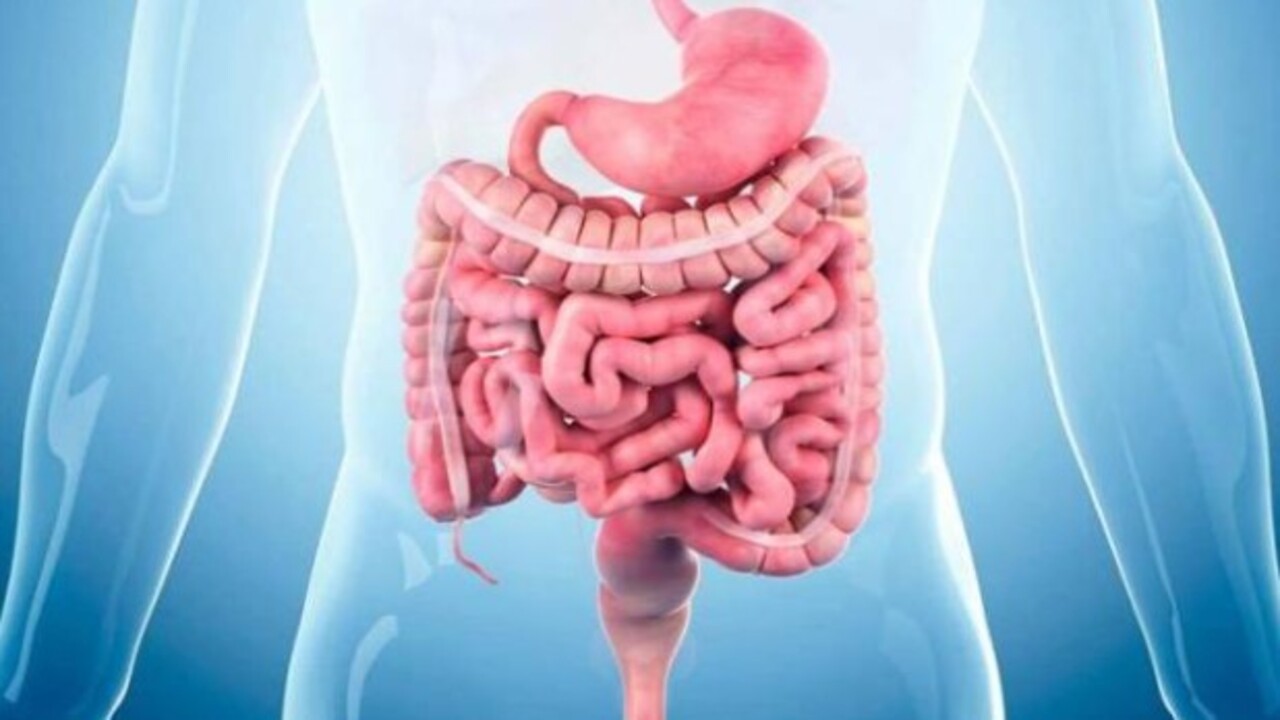 Foto - Bakın ilk sırada hangisi var! Bağırsakları düzenleyen besinler belli oldu