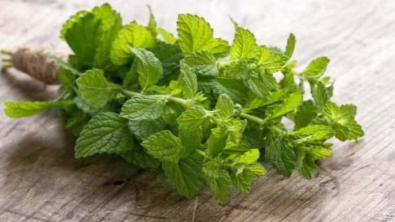 Foto - Bakın ilk sırada hangisi var! Bağırsakları düzenleyen besinler belli oldu