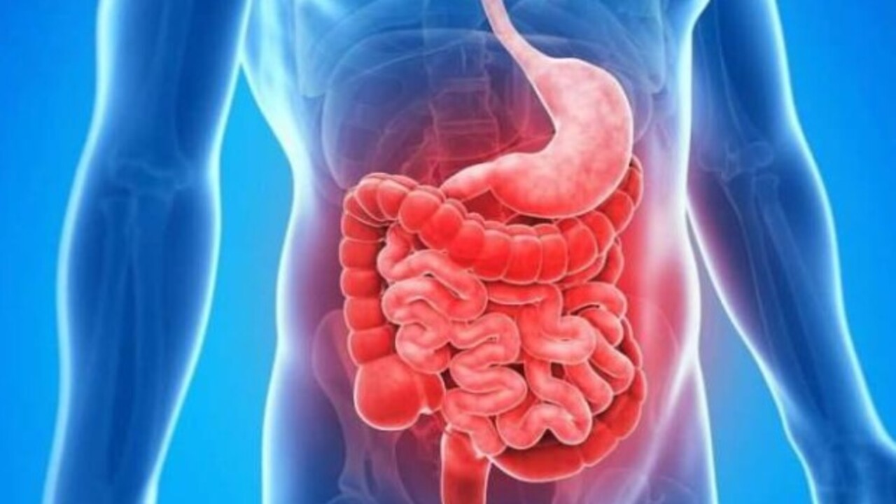 Bakın ilk sırada hangisi var! Bağırsakları düzenleyen besinler belli oldu